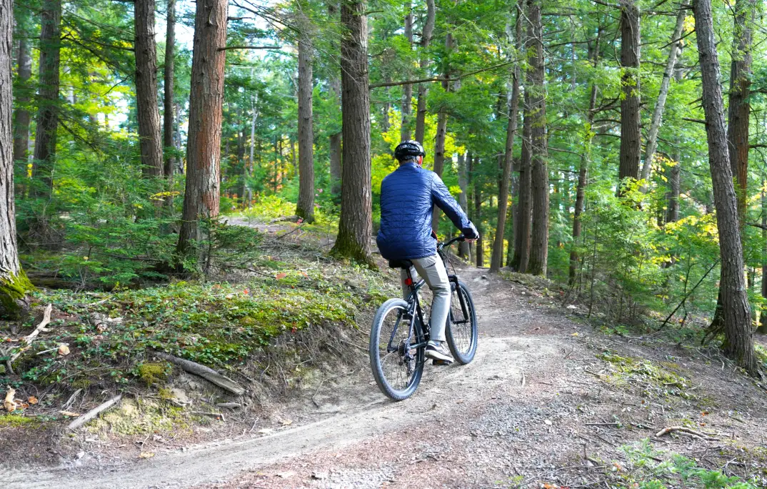 man riding bicycle in forest
