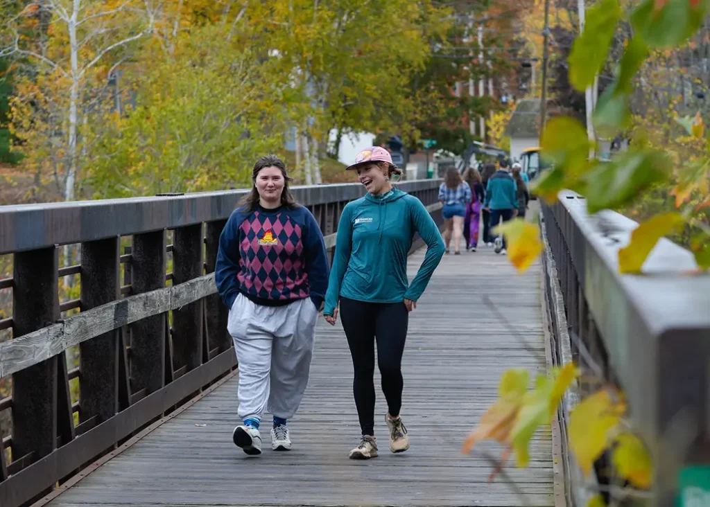 people walking on bridge